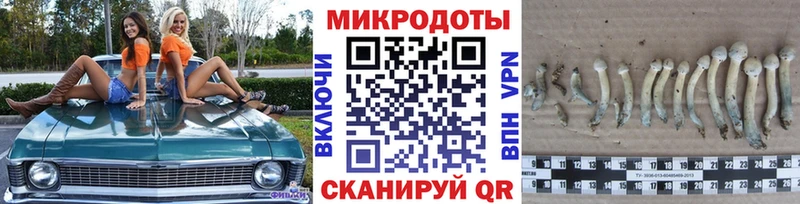 Галлюциногенные грибы мицелий  Купить  Правдинск 