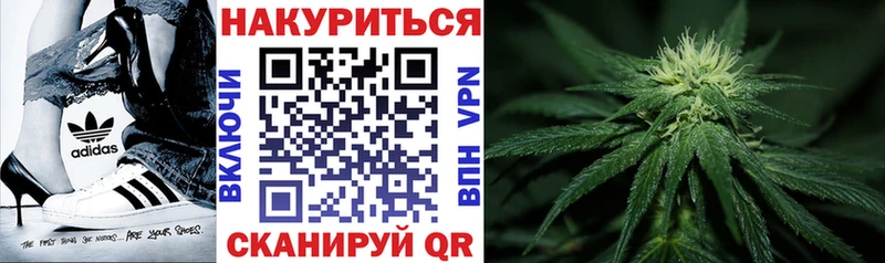Купить закладки  Правдинск  Шишки марихуана сатива 